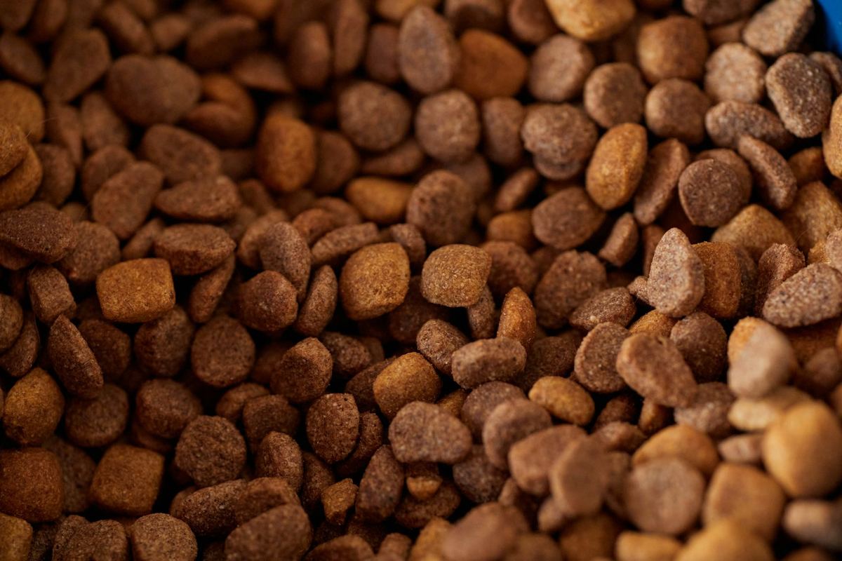 Animal Feed Pellets